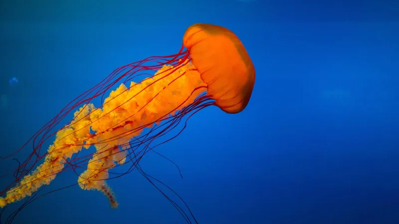 Nginx security hardening configuration for agency-grade managed cloud hosting