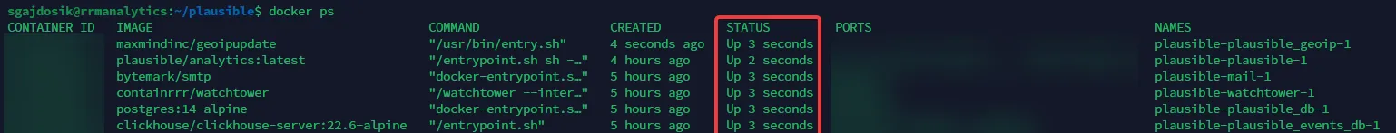Verification that all four Plausible self-hosted analytics containers are running healthy under Docker Compose