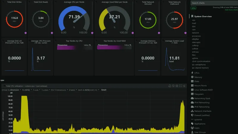 Server monitoring dashboard showing Grafana, Prometheus, Loki, and Netdata metrics for self-hosted infrastructure